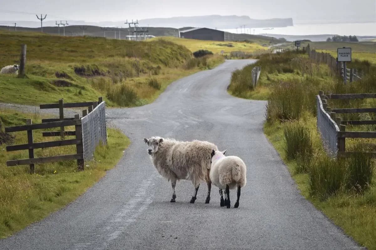 Invergordon Shore Excursions