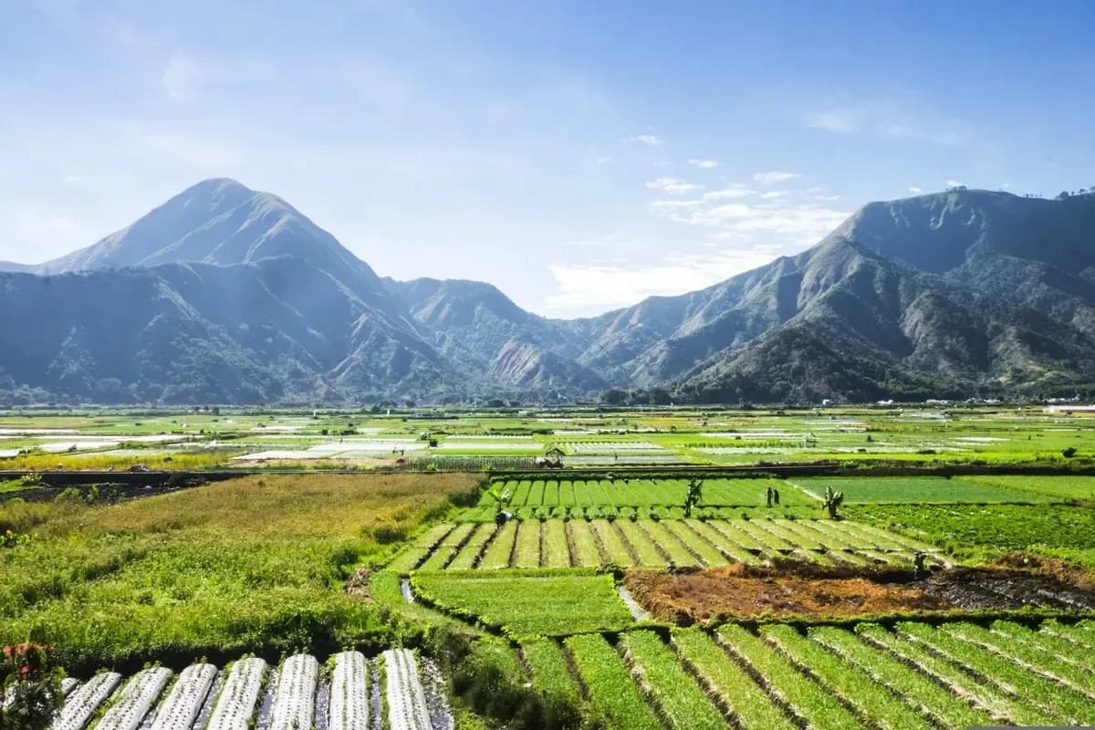 Lembar, Lombok Shore Excursions