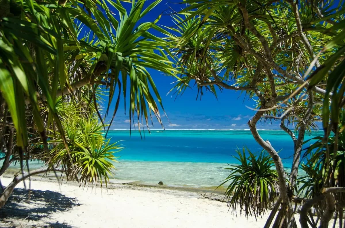 Luganville Shore Excursions