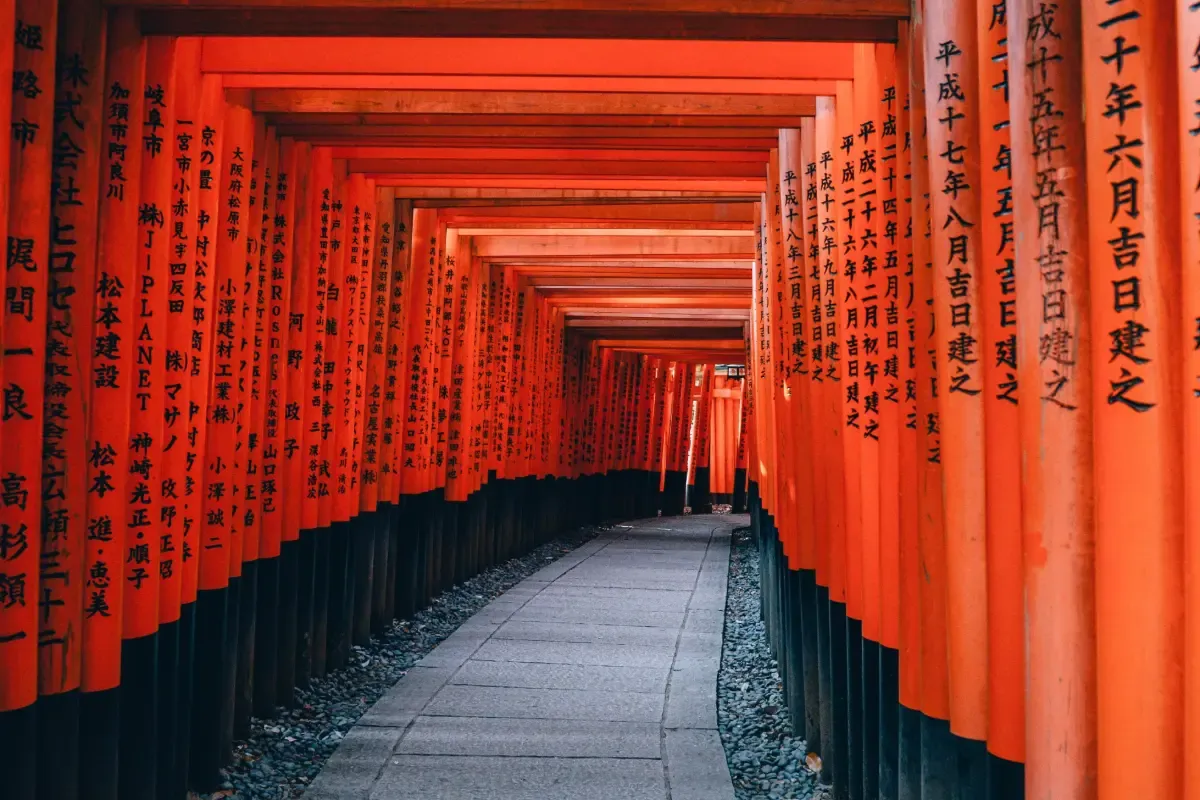 Maizuru Shore Excursions