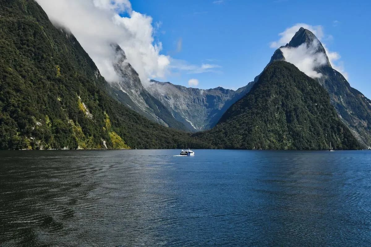 Milford Sound Shore Excursions