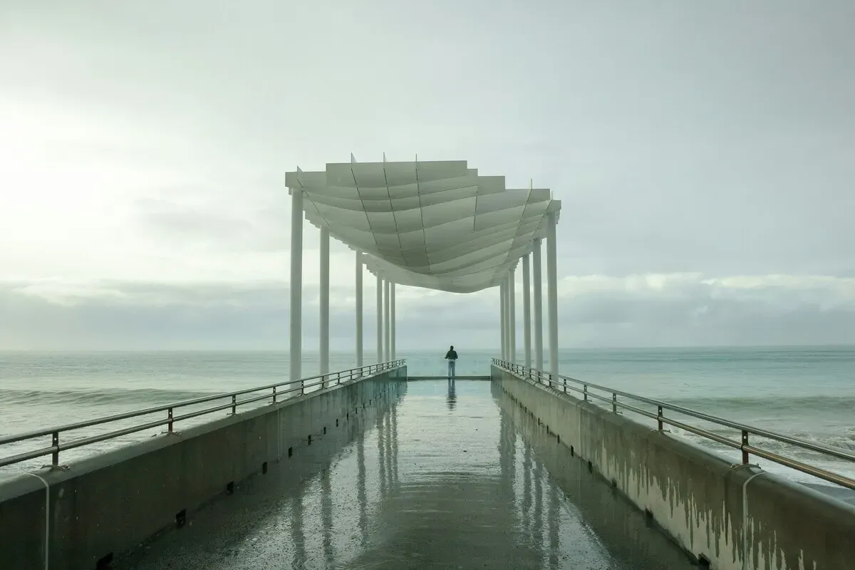 Napier Shore Excursions