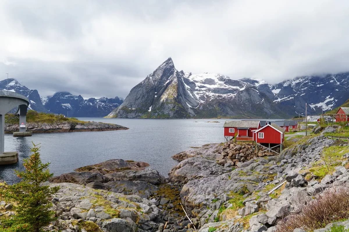Narvik Shore Excursions