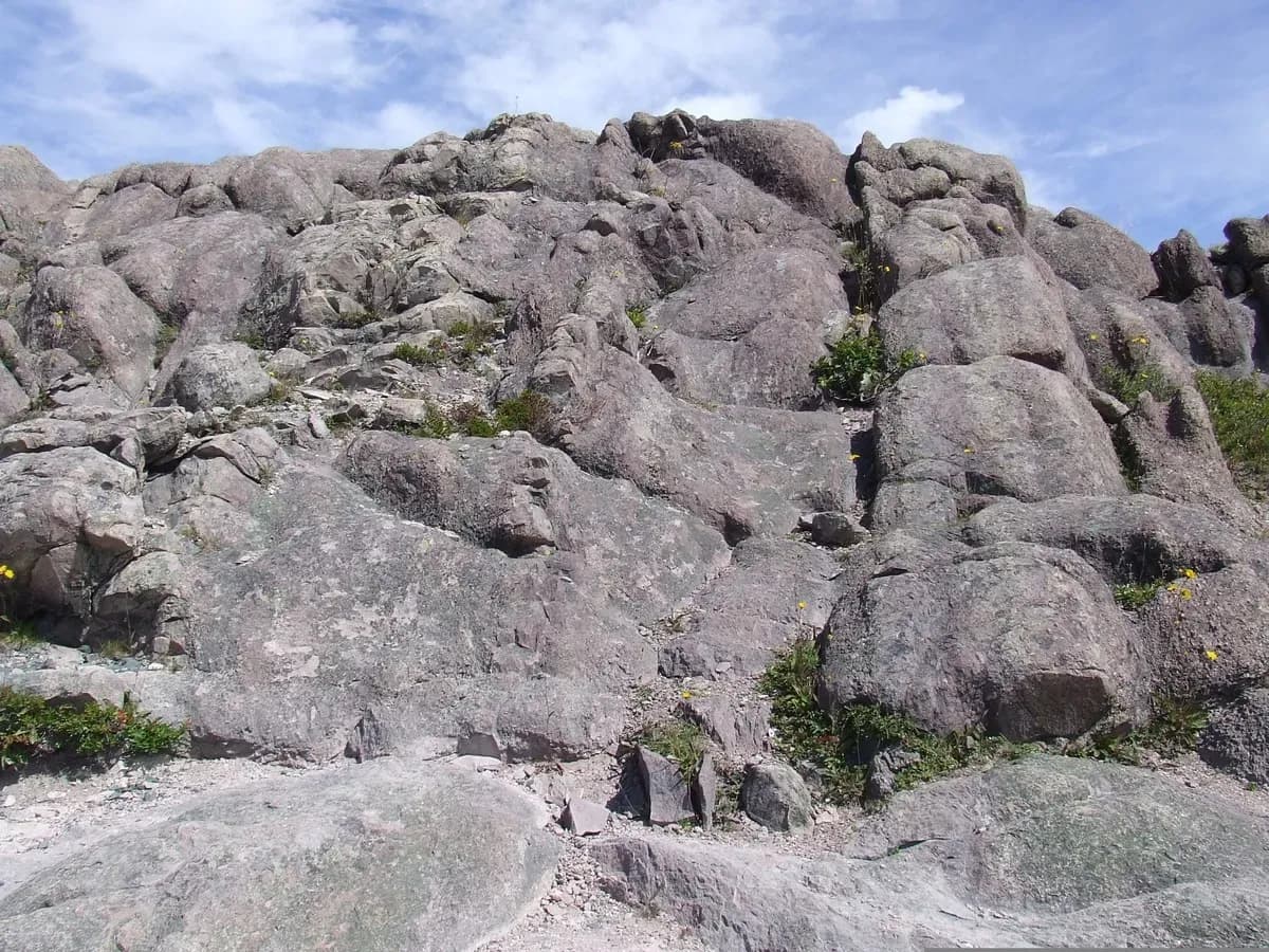 St. Anthony, Newfoundland and Labrador Shore Excursions