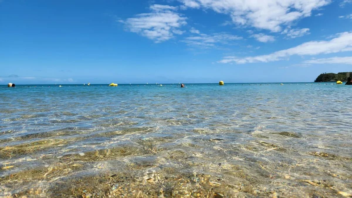 Nouméa Shore Excursions