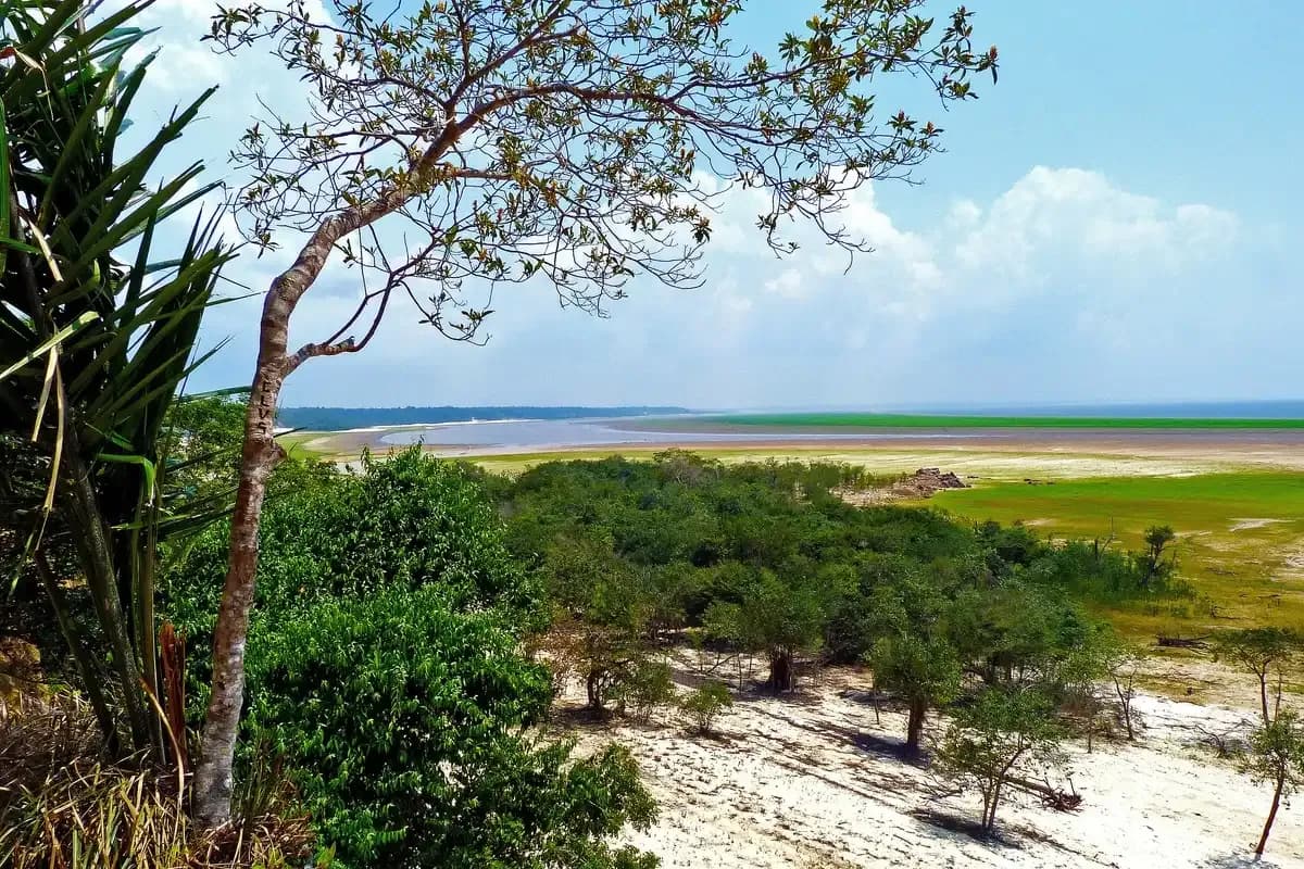 Parintins Shore Excursions