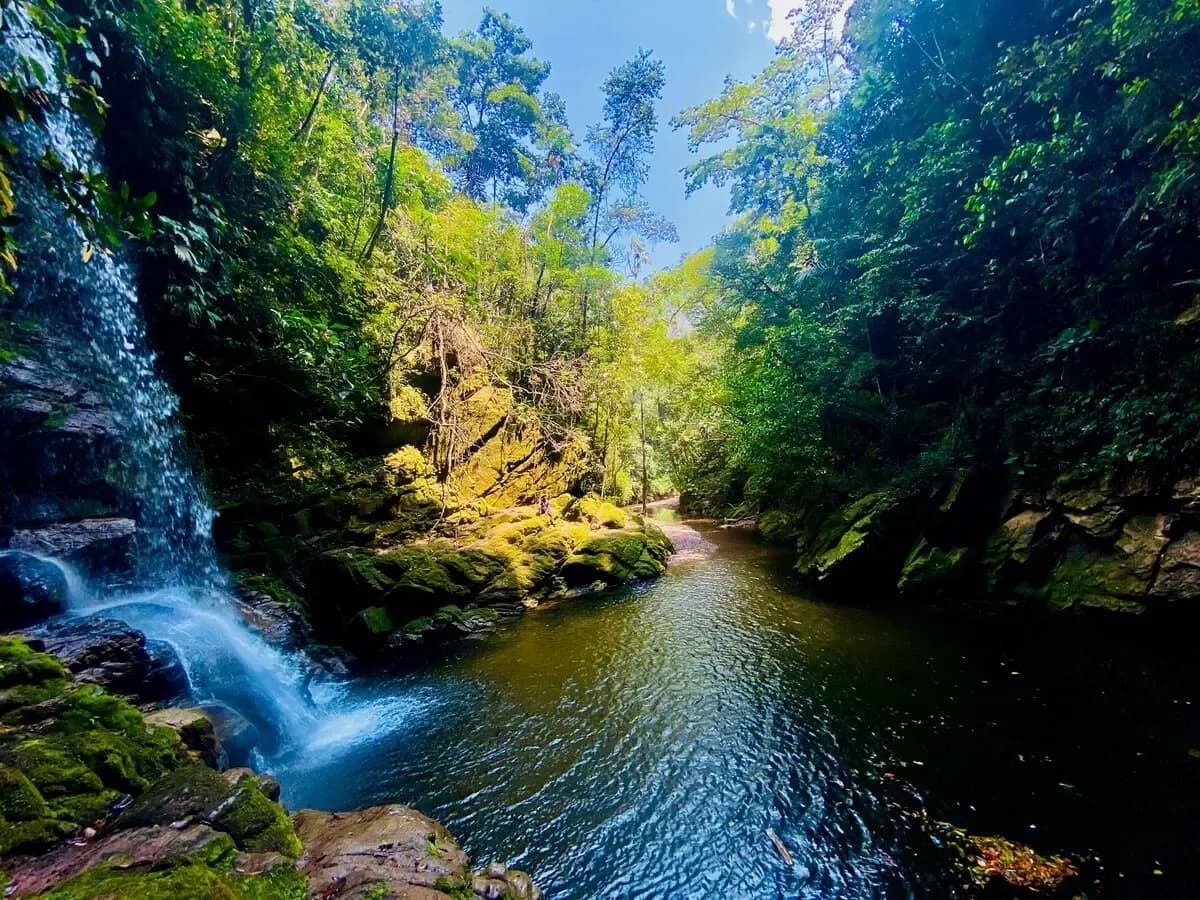General San Martin Shore Excursions