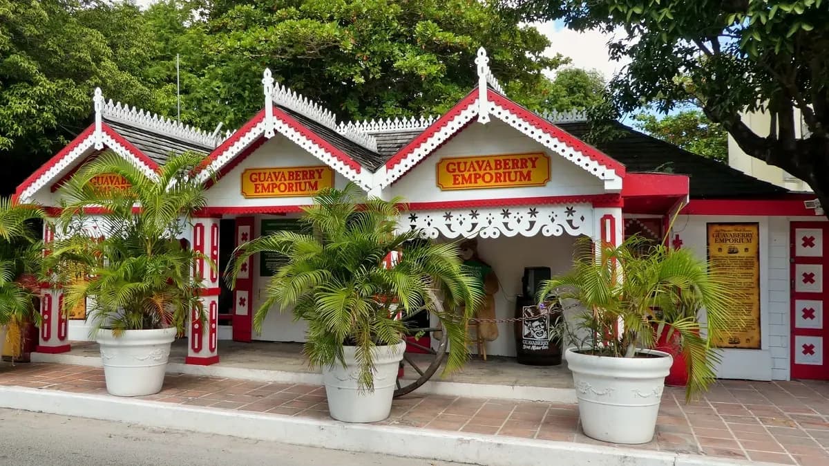 Sint Maarten Shore Excursions
