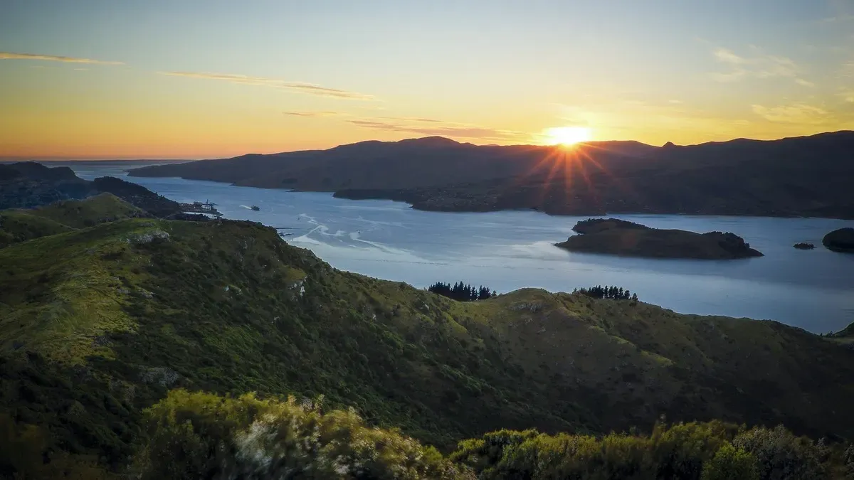 Lyttelton Shore Excursions