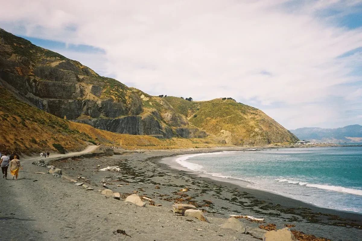 Wellington Shore Excursions